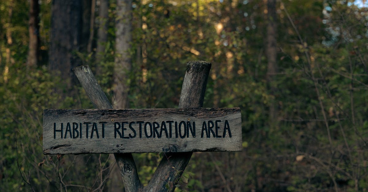 découvrez nos solutions de soutien environnemental, dédiées à préserver notre planète. engagez-vous pour une écologie durable grâce à notre expertise en gestion des ressources naturelles et en réduction de l'empreinte carbone.