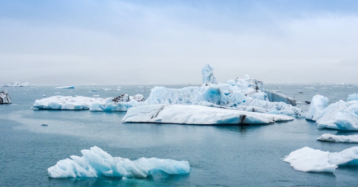 découvrez les enjeux du réchauffement climatique, ses causes et ses conséquences sur notre planète. informez-vous sur les actions à entreprendre pour lutter contre ce phénomène majeur et préserver notre environnement pour les générations futures.