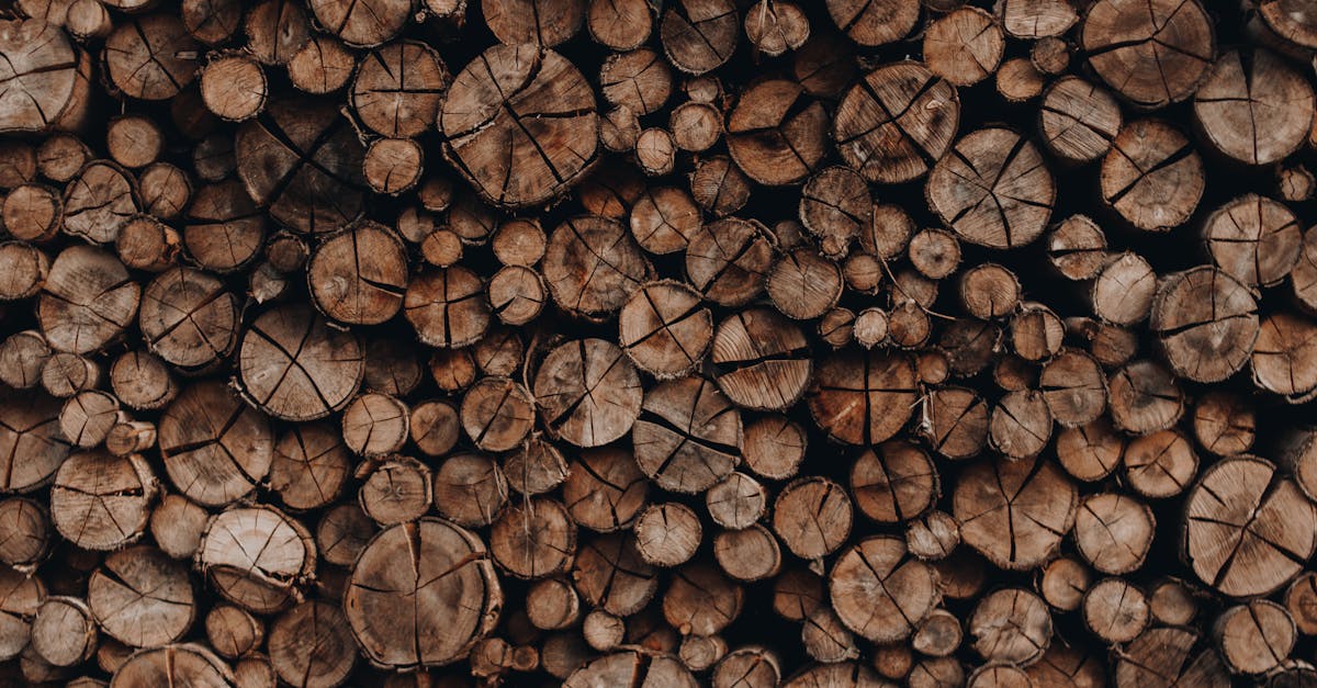 découvrez les méthodes d'évaluation des ressources naturelles, essentielles pour une gestion durable et responsable de notre environnement. apprenez comment valoriser ces ressources pour un développement économique équilibré.