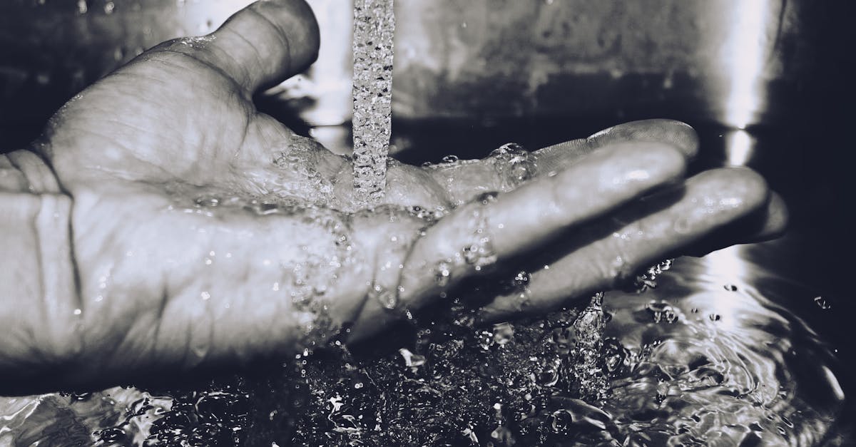 découvrez l'importance de l'évaluation des ressources naturelles pour une gestion durable et une prise de décision éclairée. apprenez comment quantifier la valeur économique, sociale et environnementale de nos ressources afin de préserver notre planète pour les générations futures.