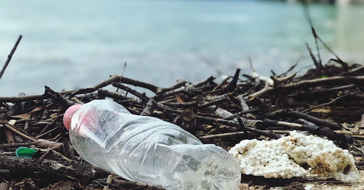 découvrez l'importance du recyclage pour préserver notre planète. apprenez comment trier vos déchets, réduire votre empreinte écologique et participer à la protection de l'environnement grâce à des gestes simples au quotidien.