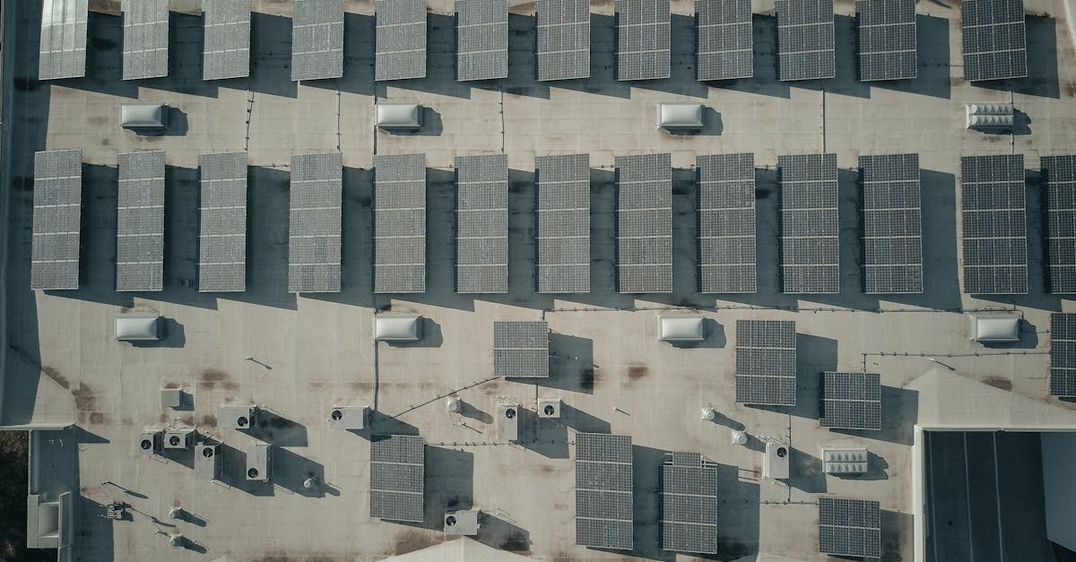découvrez comment construire un avenir durable grâce à des pratiques innovantes, des technologies écologiques et des initiatives responsables. engagez-vous pour un monde meilleur et apprenez à réduire votre empreinte carbone tout en favorisant la durabilité.