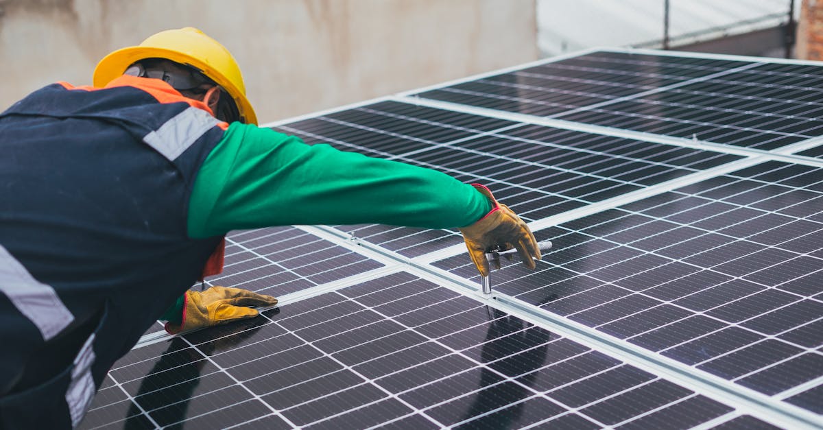 découvrez comment construire un avenir durable grâce à des pratiques respectueuses de l'environnement, des technologies innovantes et une sensibilisation collective. engagez-vous dès aujourd'hui pour un monde meilleur pour les générations futures.