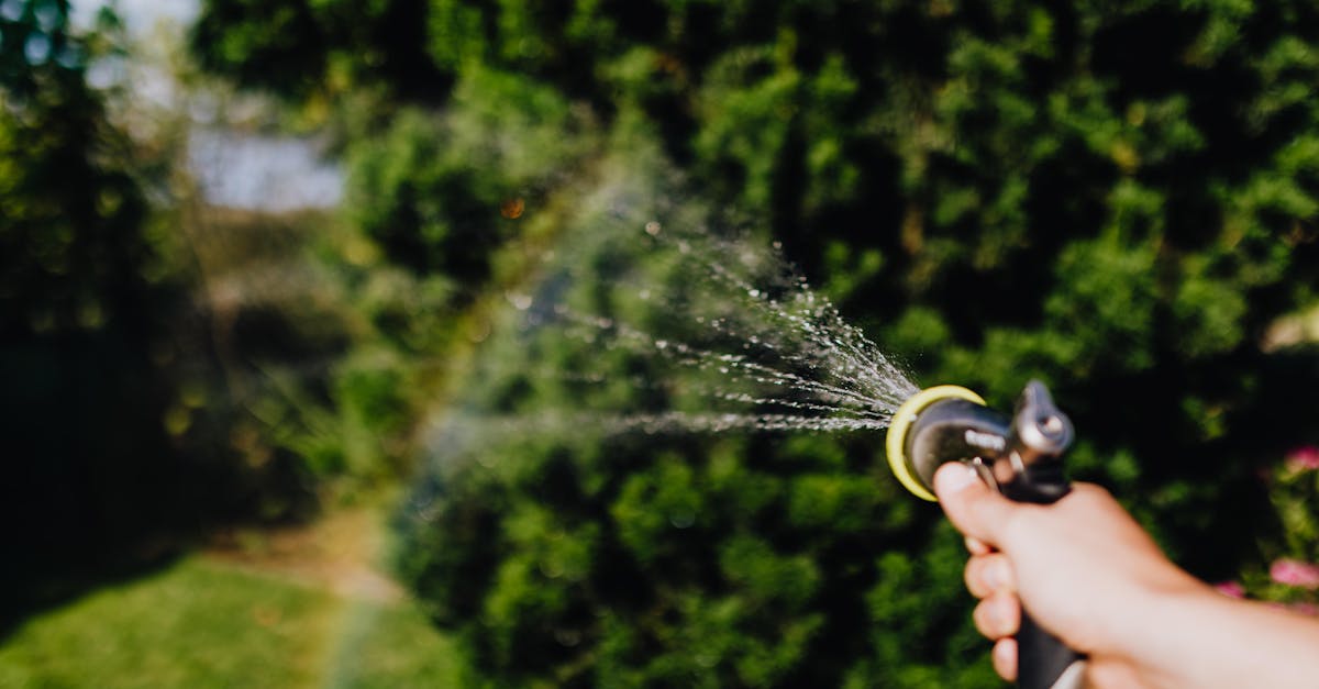 découvrez les secrets du jardinage durable pour cultiver un espace vert éco-responsable. apprenez des techniques innovantes et respectueuses de l'environnement pour favoriser la biodiversité et réduire votre empreinte carbone tout en profitant d'une récolte abondante.
