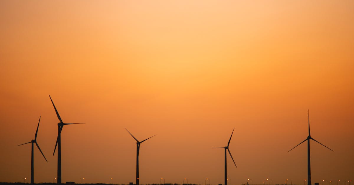 découvrez comment mener une transition durable vers un avenir respectueux de l'environnement. explorez des solutions innovantes et des stratégies pratiques pour réduire votre empreinte écologique tout en favorisant un développement économique responsable.
