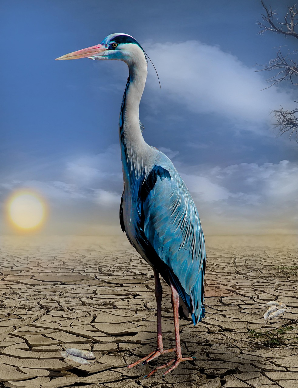 découvrez les causes, conséquences et solutions face au changement climatique. informez-vous sur les impacts environnementaux et les actions à entreprendre pour préserver notre planète.