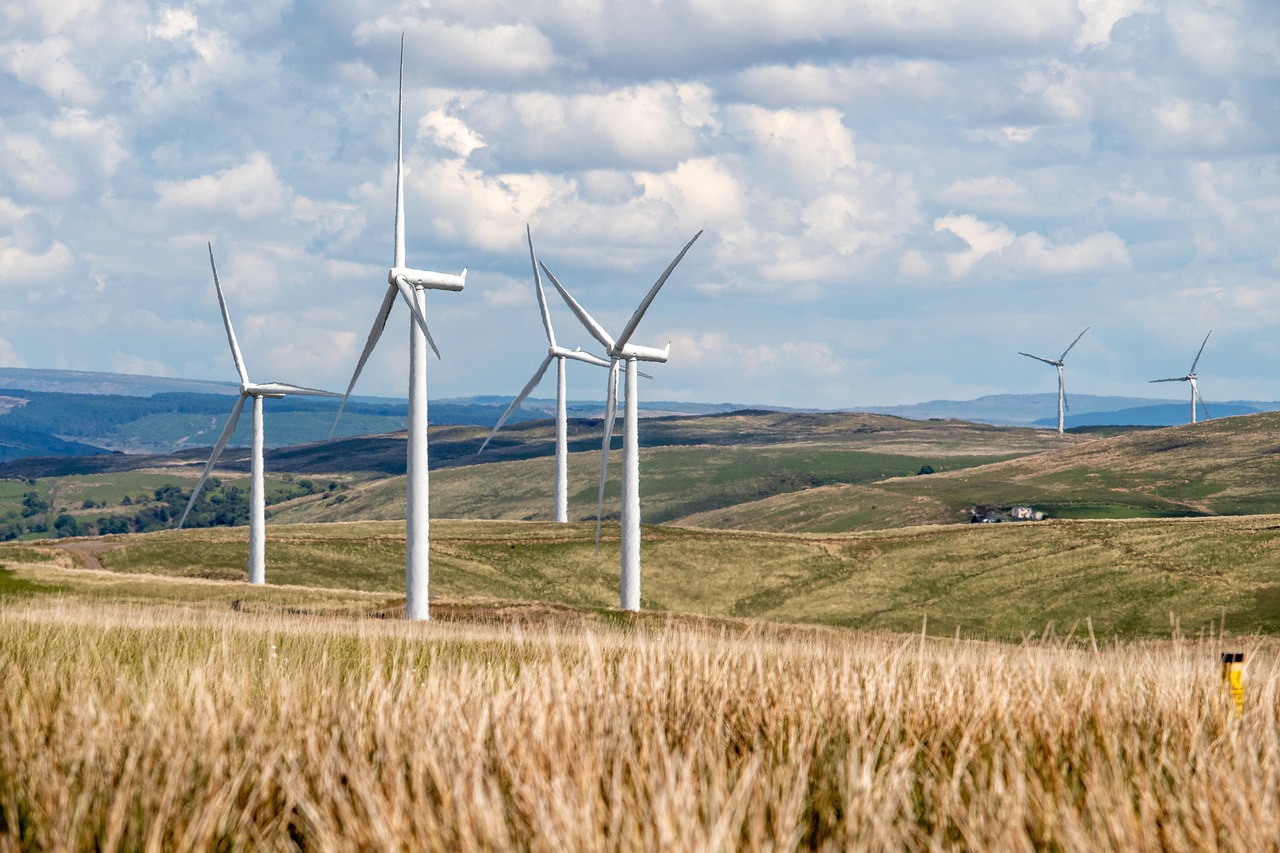 découvrez comment adopter un mode de vie plus durable avec des conseils, astuces et informations sur la durabilité pour protéger l'environnement et améliorer votre quotidien.