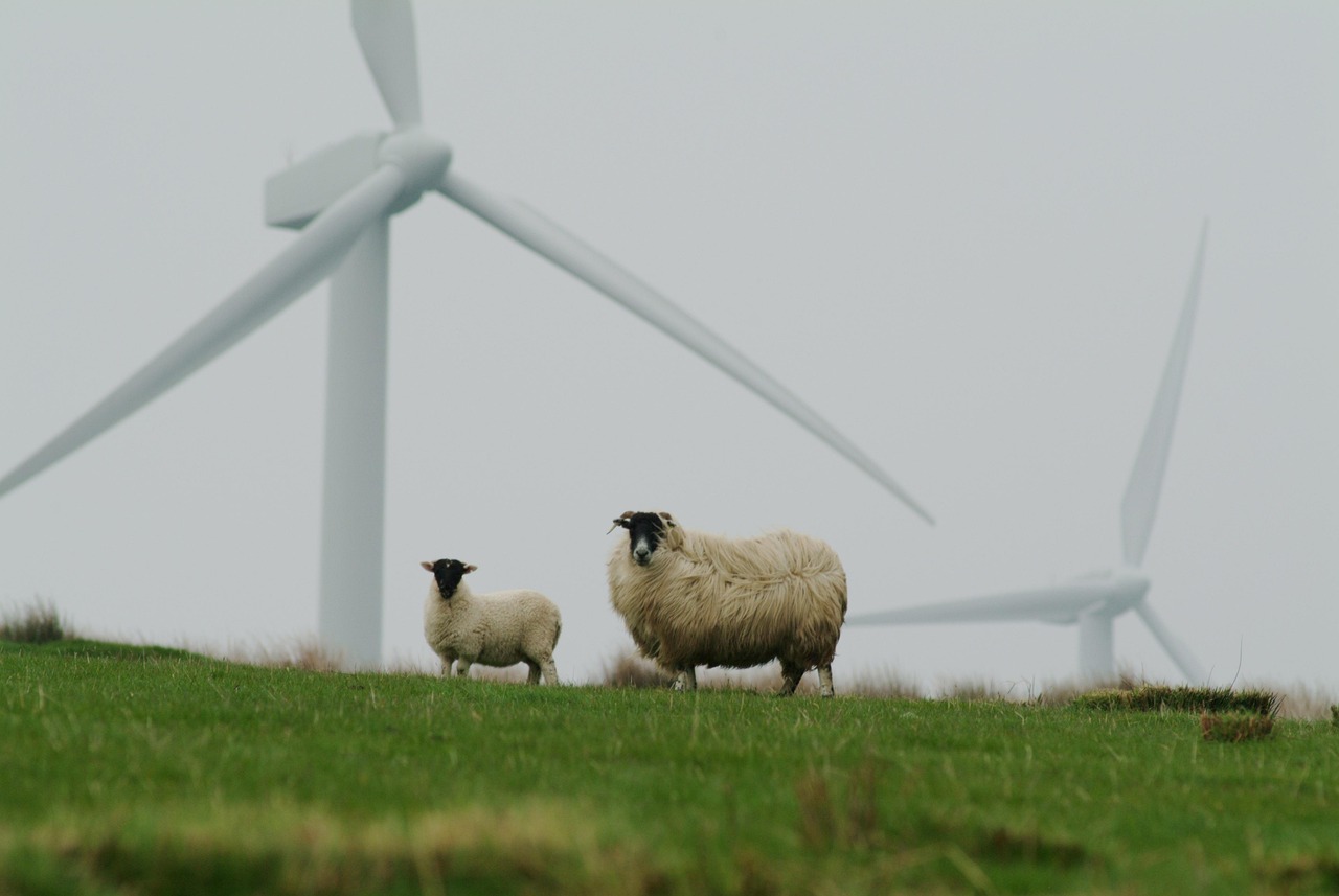 découvrez des conseils, solutions et actualités sur la sustainability, pour adopter un mode de vie écoresponsable, réduire votre impact environnemental et contribuer à un avenir durable.