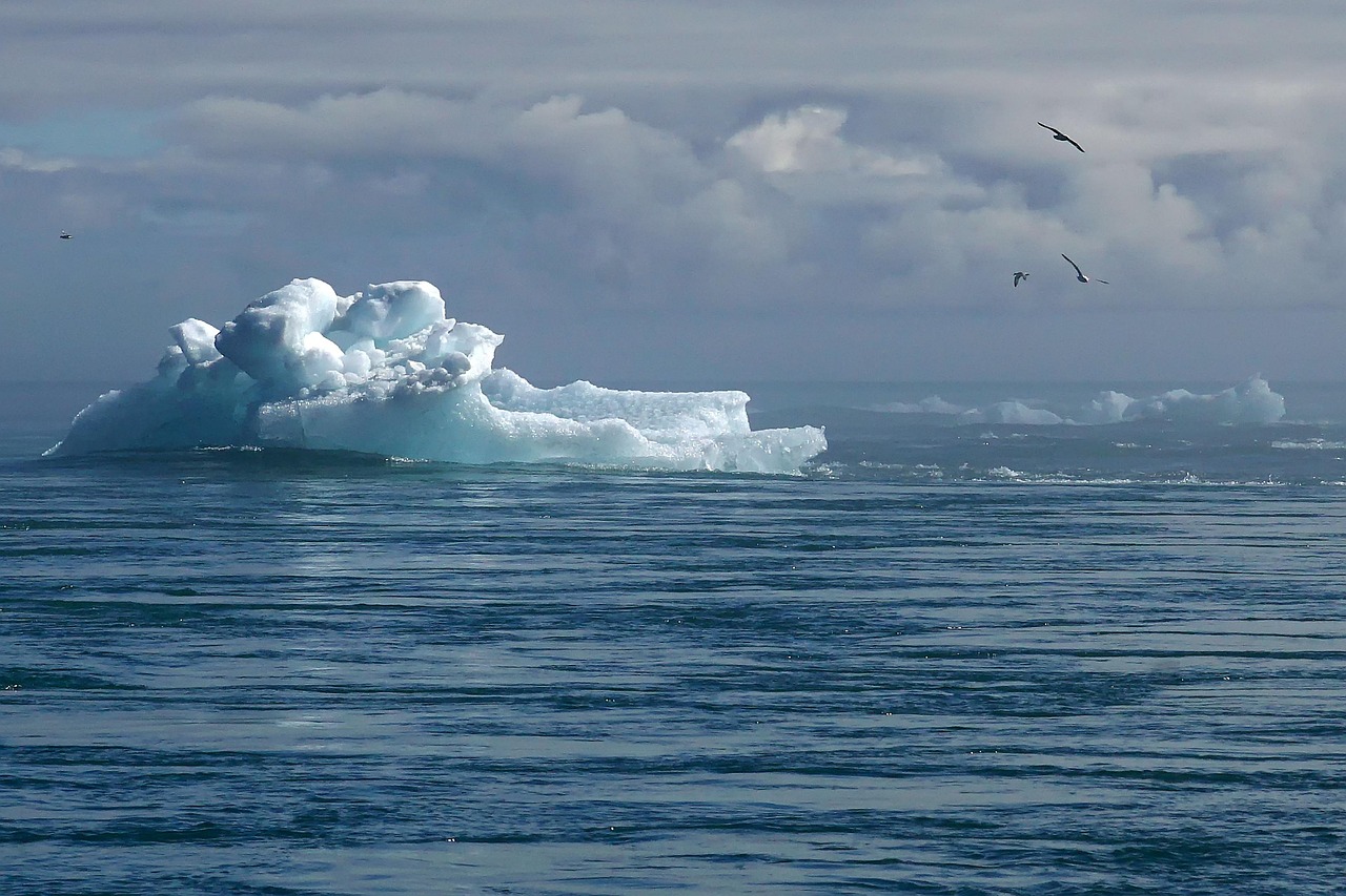 découvrez les causes, conséquences et solutions du changement climatique. informez-vous sur l’impact environnemental et les actions pour protéger la planète.