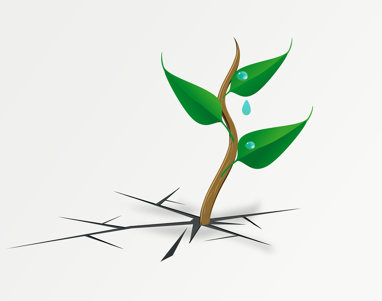 découvrez comment renforcer la résilience climatique grâce à des stratégies innovantes et des solutions durables pour faire face aux impacts du changement climatique.