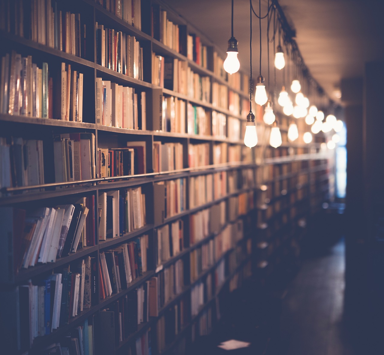 découvrez comment l'éducation durable favorise un avenir responsable, en intégrant des pratiques écologiques et des valeurs citoyennes dans l'apprentissage pour préparer les générations futures aux défis environnementaux et sociaux.