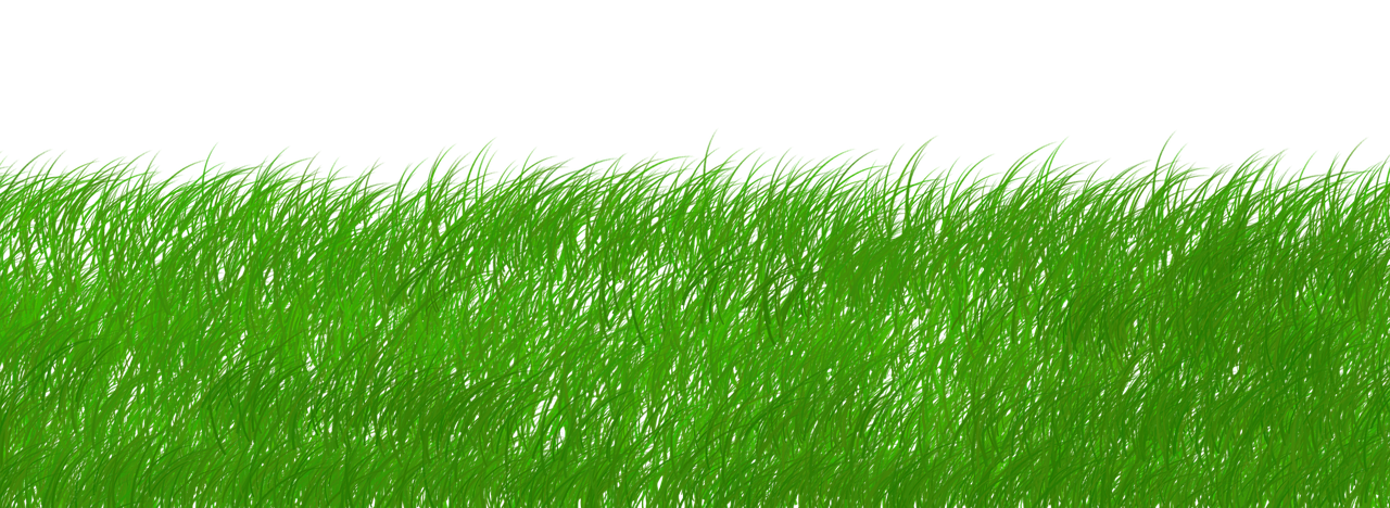 découvrez comment la durabilité impacte notre quotidien et explorez des solutions concrètes pour un avenir plus respectueux de l'environnement et des générations futures.