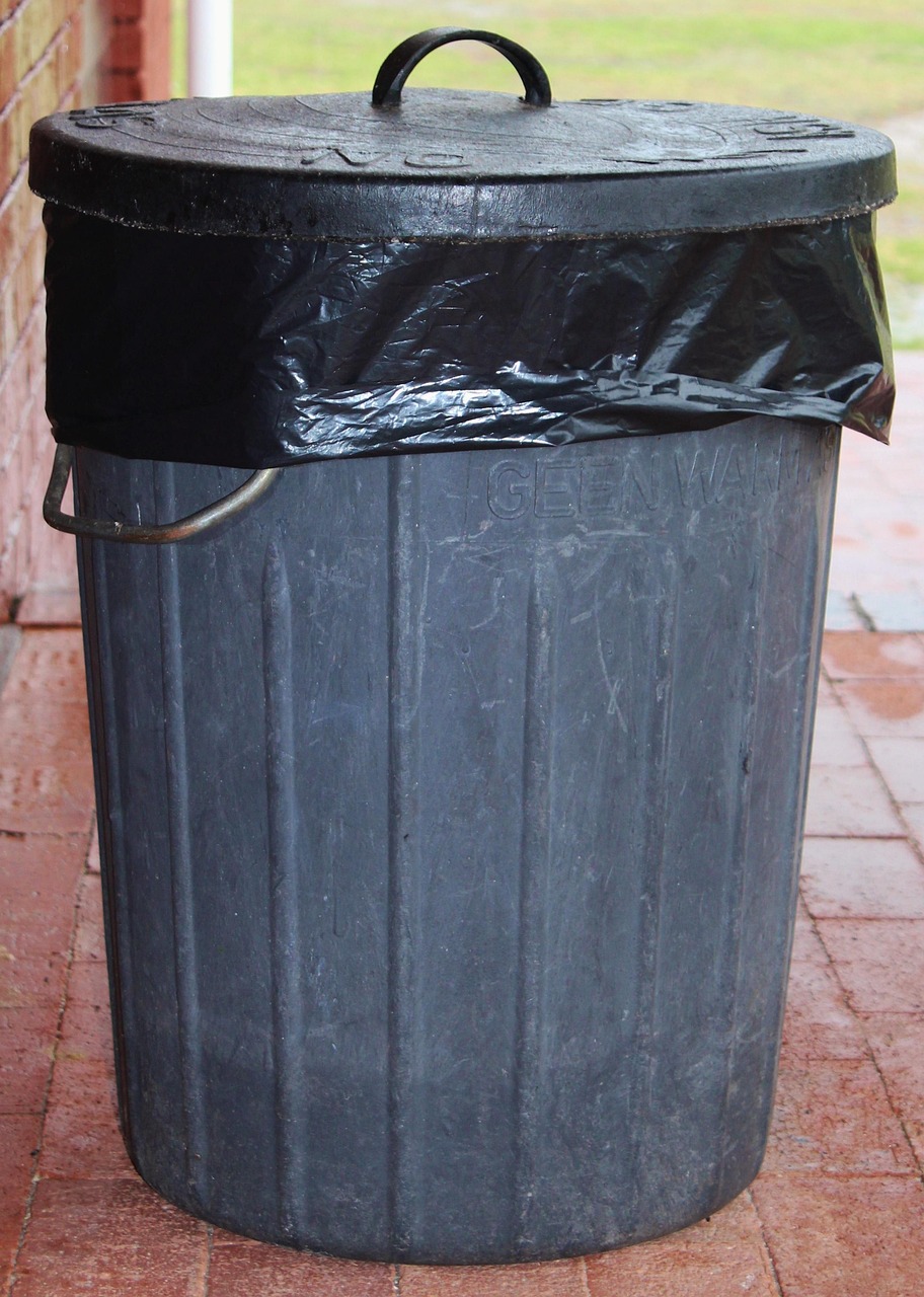 découvrez comment réduire, réutiliser et recycler les déchets pour préserver l'environnement. conseils pratiques et informations essentielles sur la gestion des déchets au quotidien.