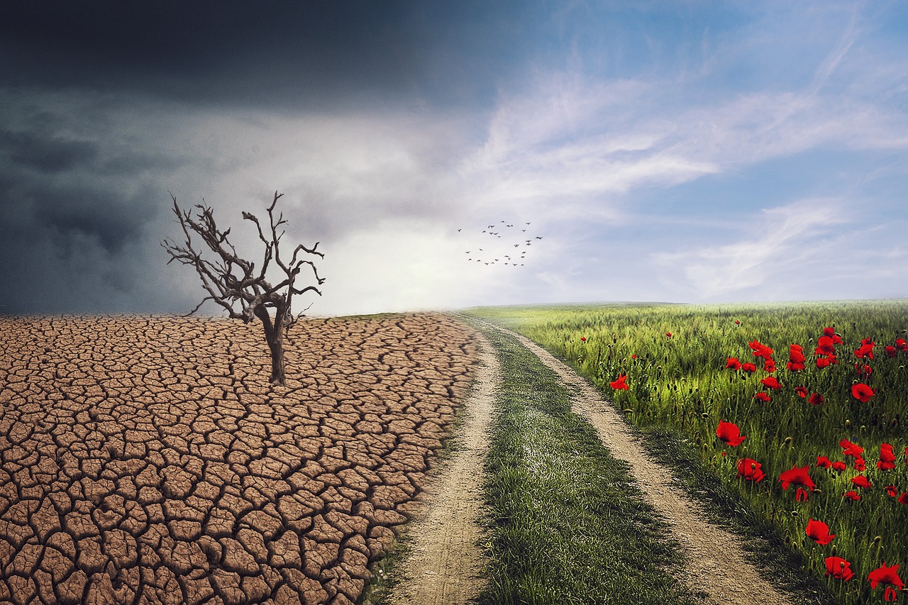 découvrez les causes, les conséquences et les solutions face au changement climatique pour mieux comprendre son impact sur notre planète et agir pour un avenir durable.