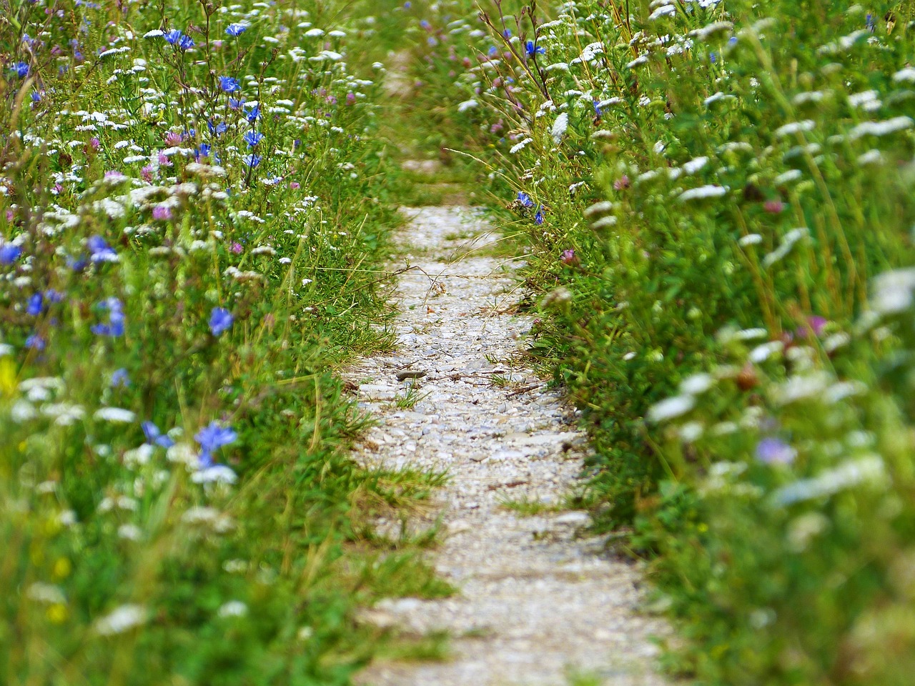découvrez comment définir et atteindre des objectifs environnementaux pour un avenir durable en adoptant des pratiques écoresponsables et en réduisant votre impact sur la planète.