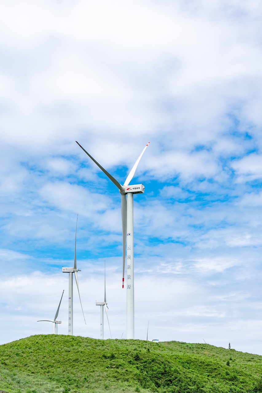 découvrez les principes et enjeux du développement durable : une approche essentielle pour préserver l’environnement, favoriser l’équité sociale et assurer la croissance économique responsable. apprenez comment adopter des pratiques durables au quotidien.