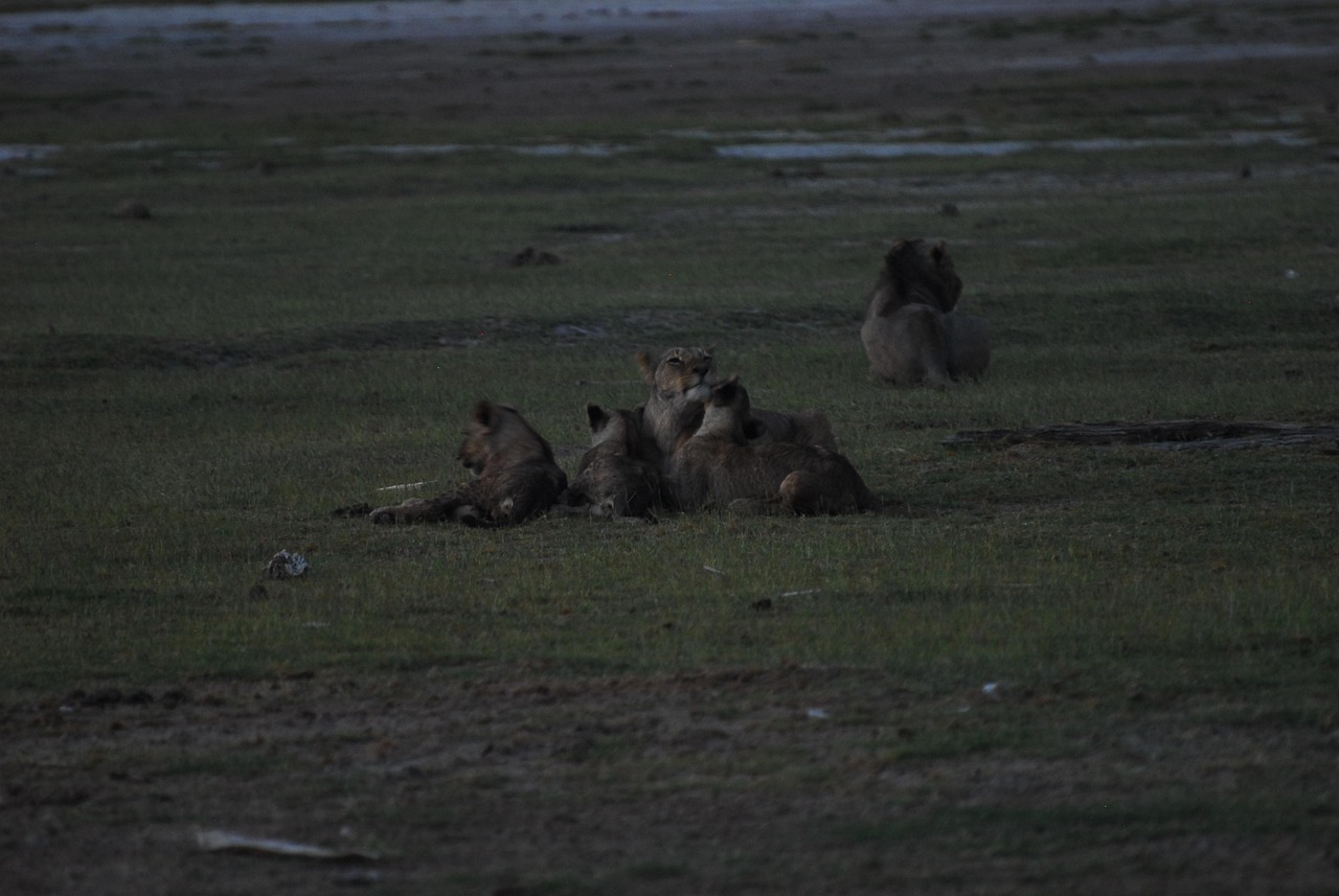 découvrez comment agir pour le climat avec des initiatives concrètes et des solutions durables pour protéger notre planète.