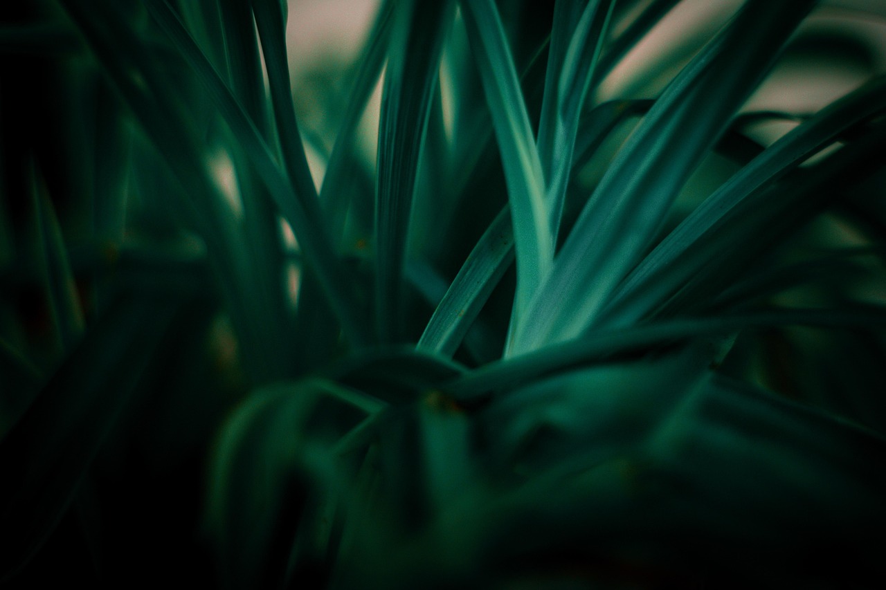 découvrez les principes et enjeux du développement durable : comment concilier croissance économique, préservation de l'environnement et équité sociale pour bâtir un avenir meilleur.