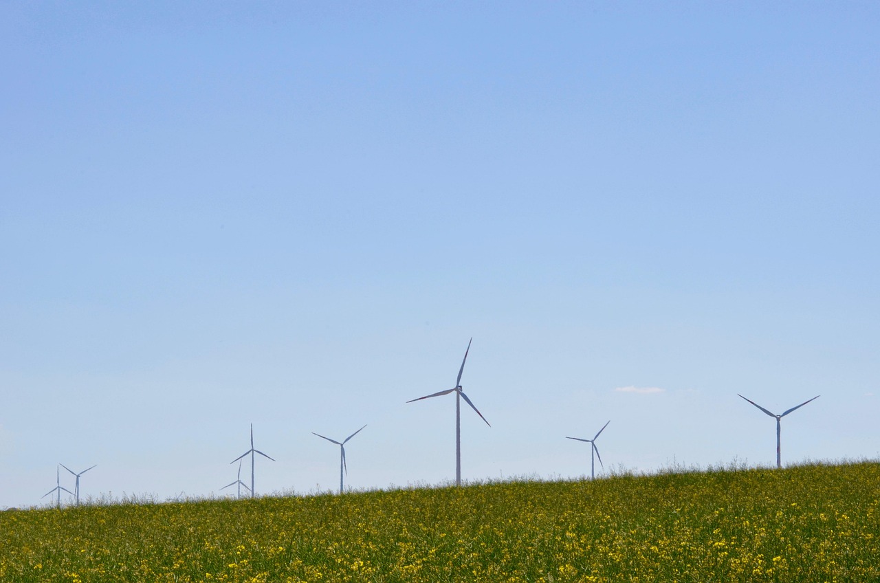 découvrez les enjeux et les actions clés de la transition écologique pour un avenir durable et respectueux de l'environnement.