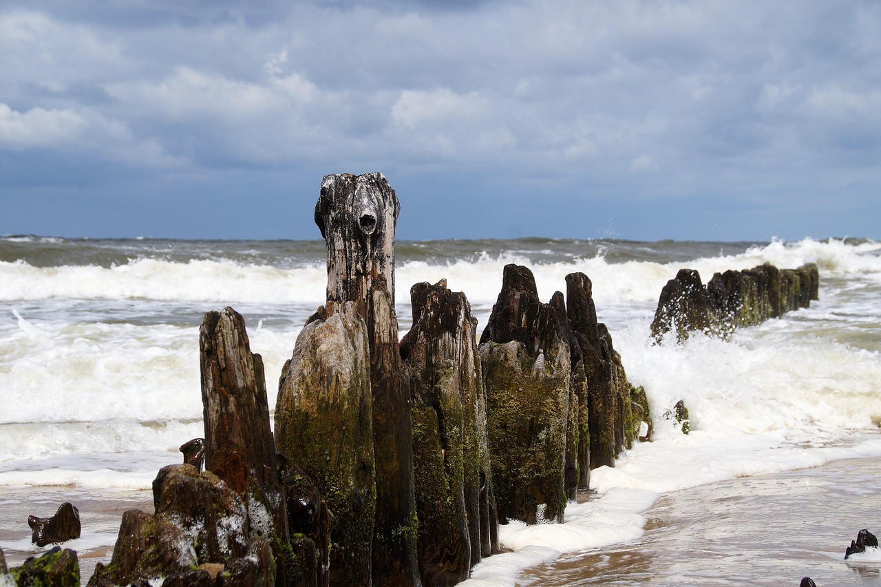Les enjeux du d&eacute;veloppement durable : un appel &agrave; l&rsquo;action collective