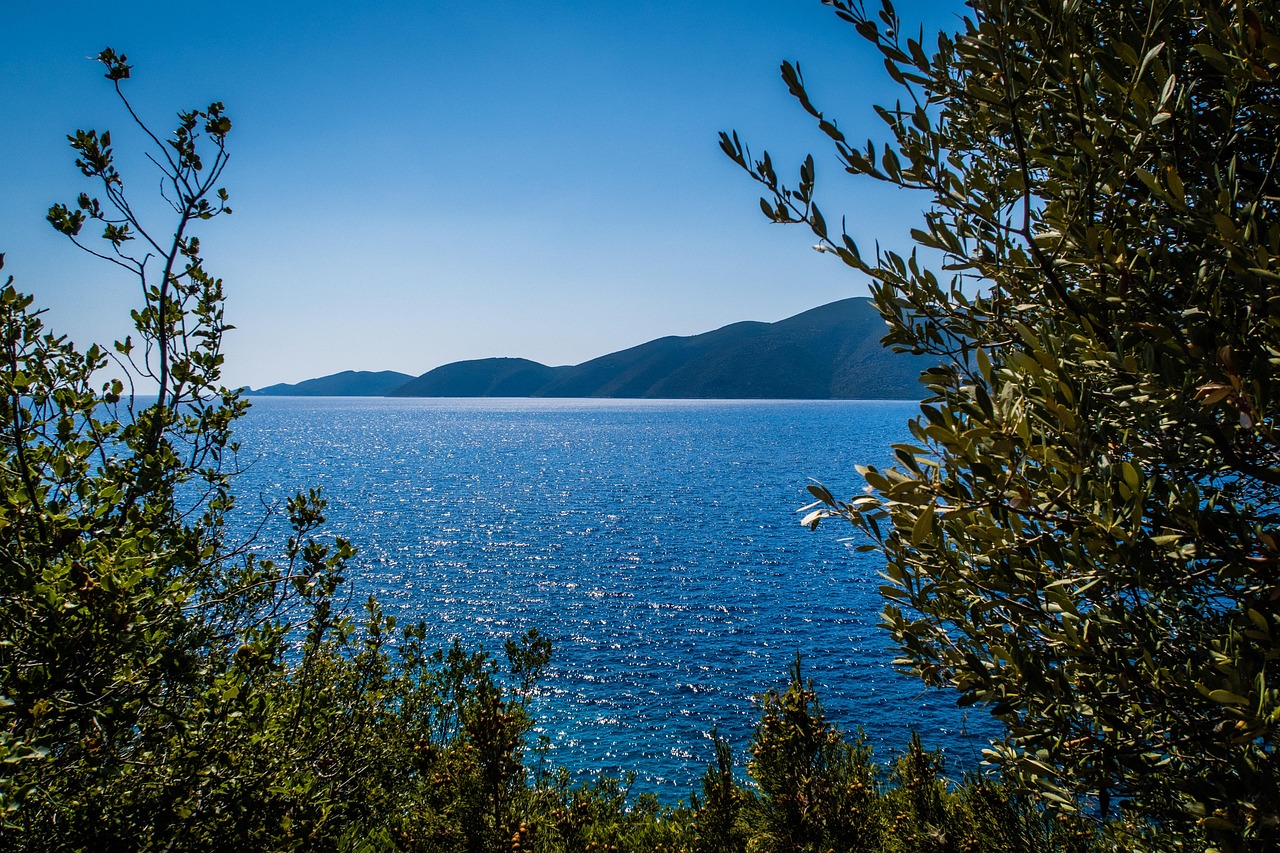 d&eacute;couvrez le green it, une approche durable de l'informatique visant &agrave; r&eacute;duire l'empreinte &eacute;cologique des technologies digitales et &agrave; promouvoir des pratiques &eacute;coresponsables.