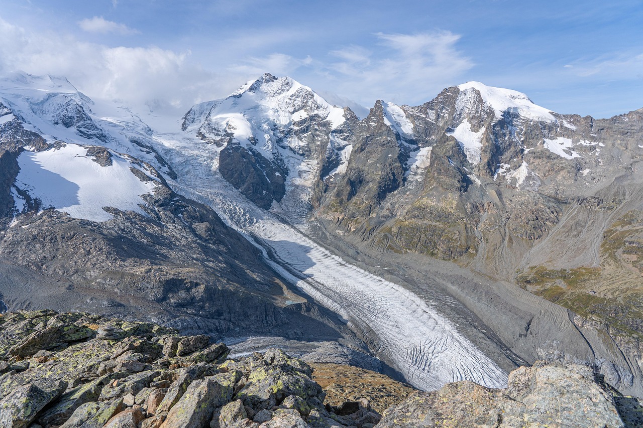 découvrez les glaciers, ces vastes masses de glace qui sculptent nos paysages, témoignent des changements climatiques et abritent une faune unique.