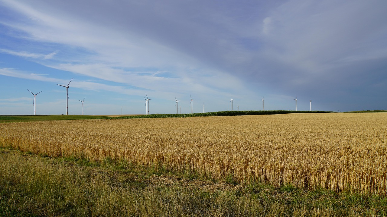 d&eacute;couvrez tout sur les vagues de chaleur : causes, impacts sur la sant&eacute; et conseils pour vous prot&eacute;ger efficacement.