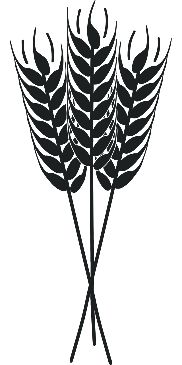 d&eacute;couvrez les pratiques d'agriculture durable visant &agrave; pr&eacute;server les ressources naturelles, am&eacute;liorer la qualit&eacute; des sols et promouvoir une production agricole respectueuse de l'environnement.