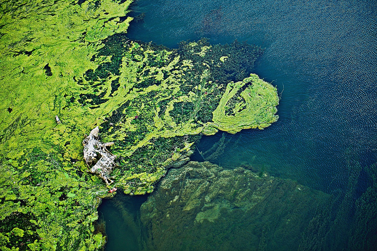 d&eacute;couvrez tout sur la contamination : ses causes, ses effets et les mesures pour la pr&eacute;venir efficacement.