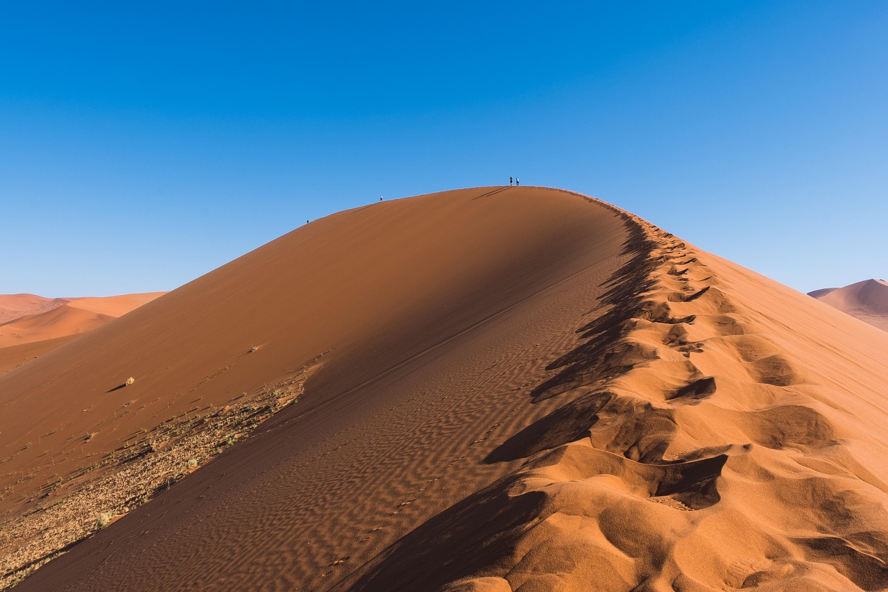 d&eacute;couvrez notre plan climat d&eacute;taill&eacute; pour lutter efficacement contre le changement climatique et prot&eacute;ger notre plan&egrave;te pour les g&eacute;n&eacute;rations futures.