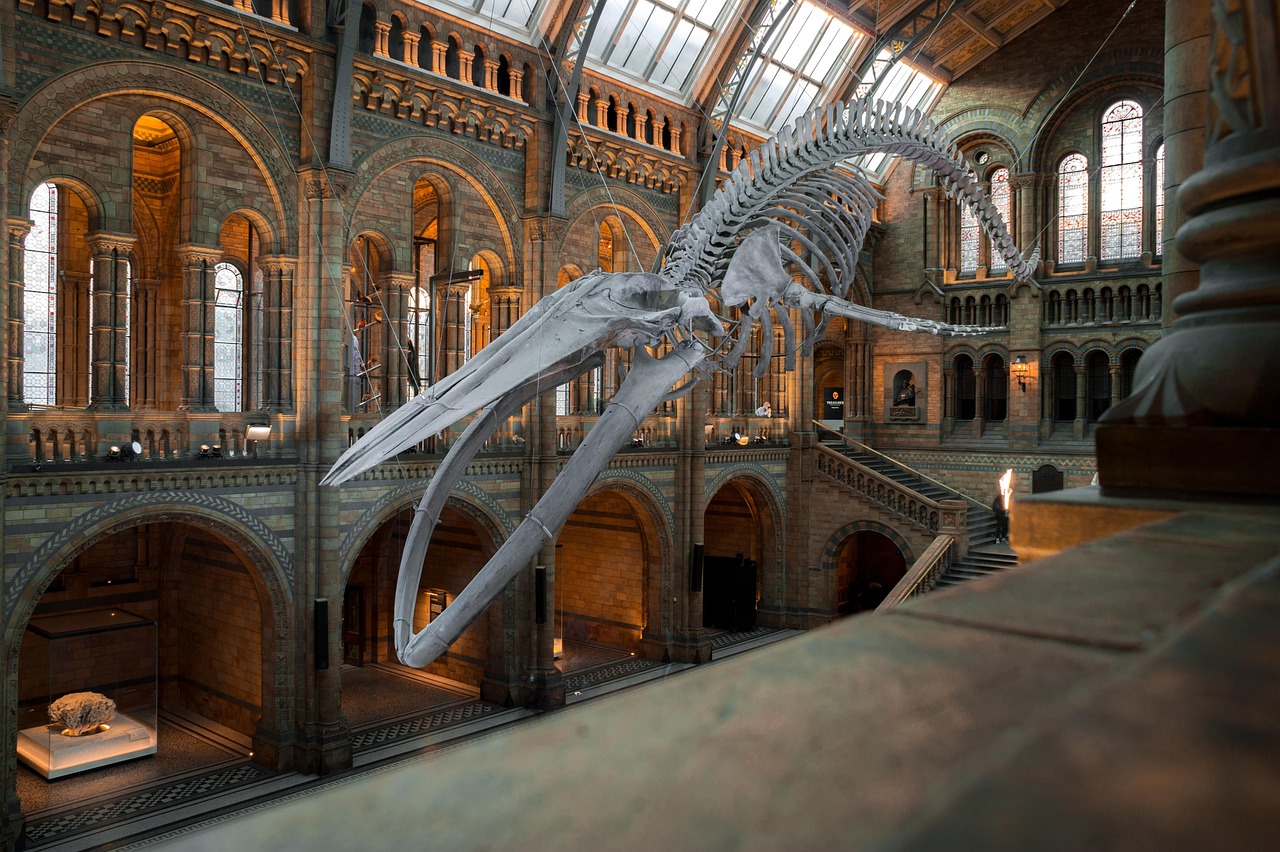 d&eacute;couvrez des strat&eacute;gies durables pour les mus&eacute;es, alliant conservation, innovation et responsabilit&eacute; environnementale afin de garantir un avenir culturel respectueux de la plan&egrave;te.